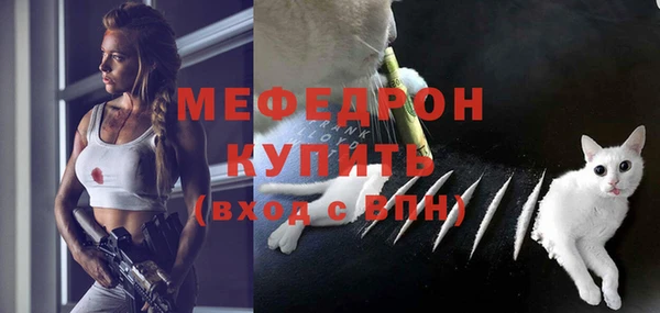 дживик Верхний Тагил