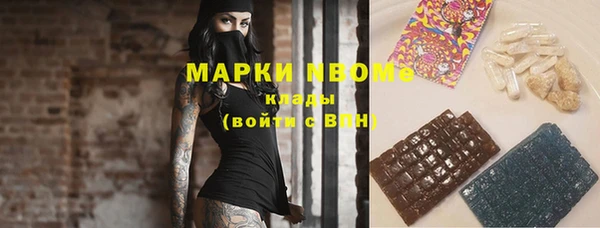 дживик Верхний Тагил