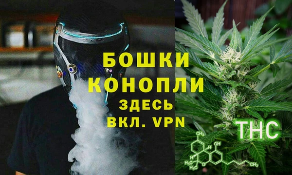 PSILOCYBIN Верея
