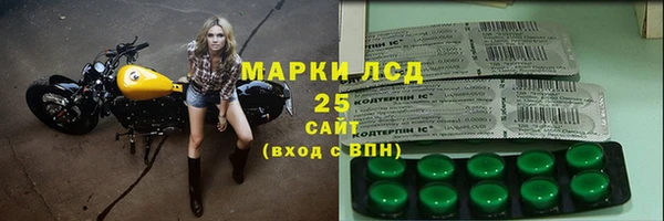PSILOCYBIN Верея