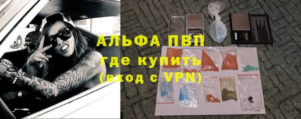 дживик Верхний Тагил