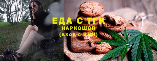дживик Верхний Тагил