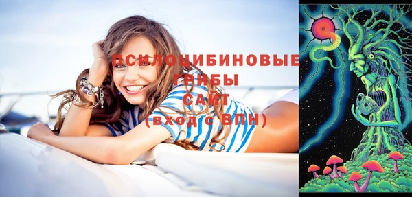 PSILOCYBIN Верея
