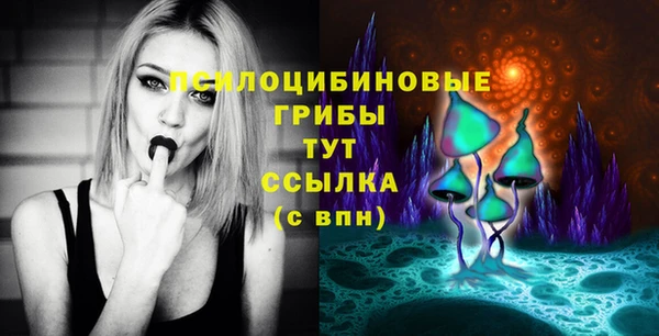 PSILOCYBIN Верея
