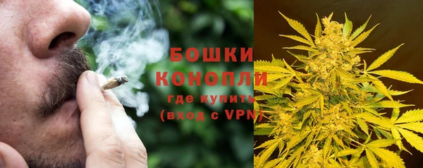 дживик Верхний Тагил